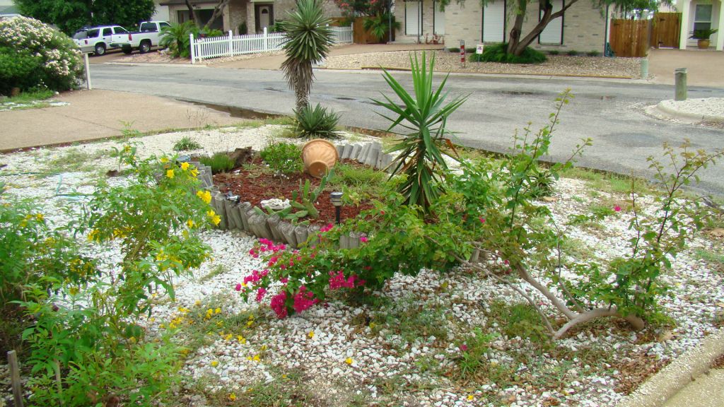 EXISTING PLANTS AND ROCK FRONT YARD TO BE REMOVED